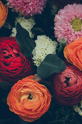 Schnittblumen & Sträuße